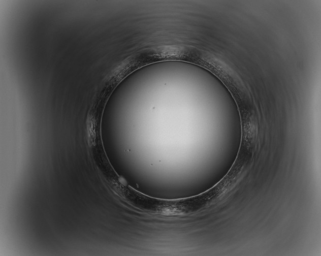 X0000097810264200803201423