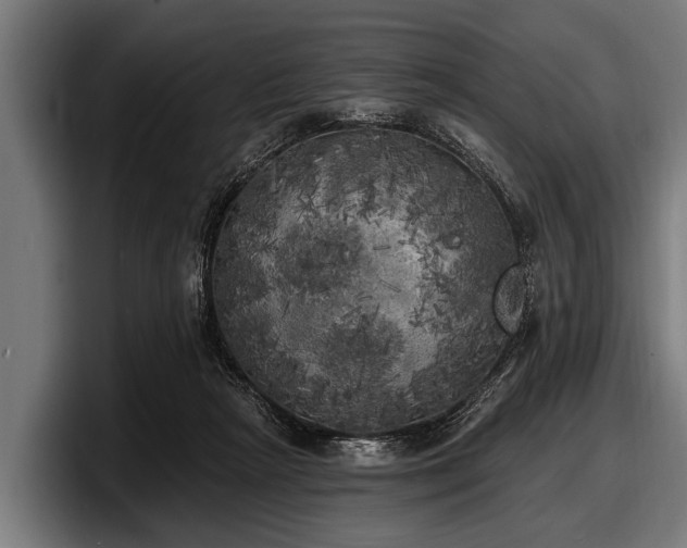 X0000097810265200803201423