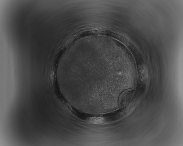 X0000097810266200803201423