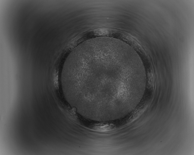 X0000097810267200803201423