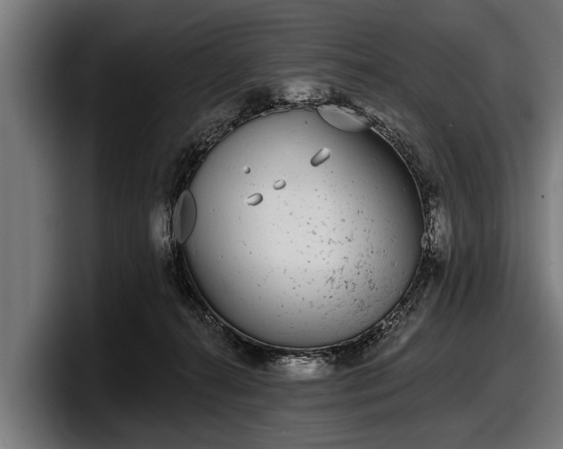 X0000097810272200803201423