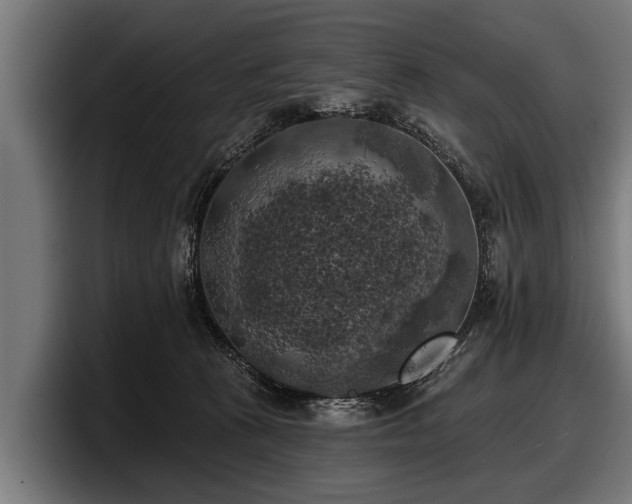 X0000097810273200803201423