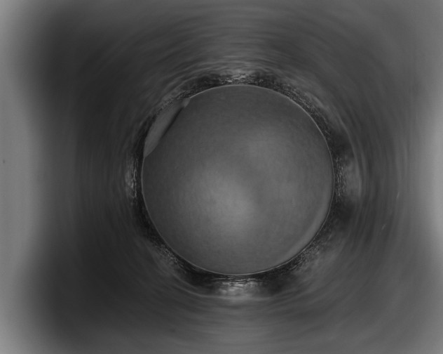 X0000097810274200803201423