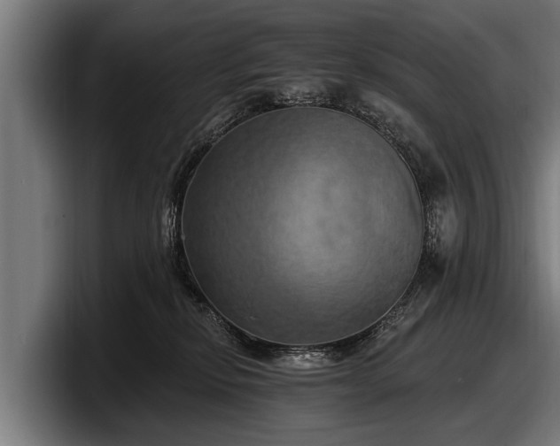 X0000097810278200803201423