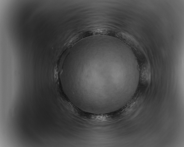 X0000097810282200803201423