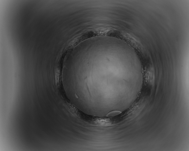 X0000097810283200803201423