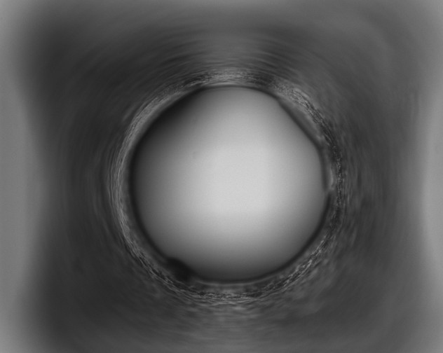 X0000097810289200803201423