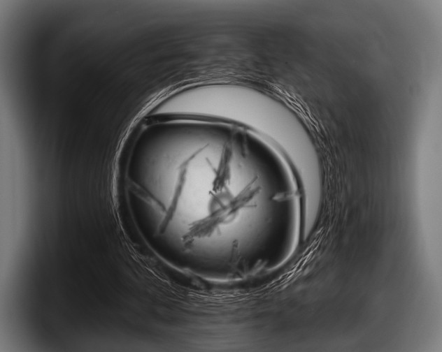 X0000097810292200803201423