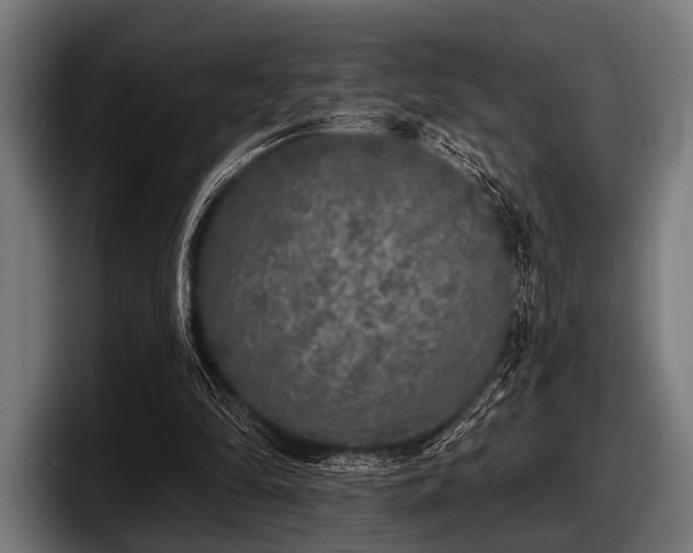 X0000097810294200803201423