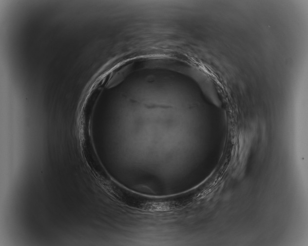 X0000097810295200803201423