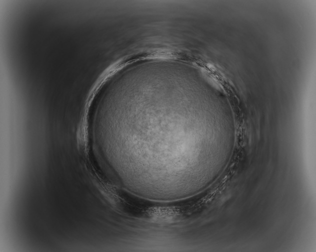 X0000097810296200803201423