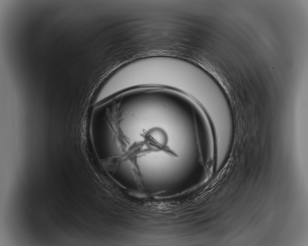 X0000097810297200803201423