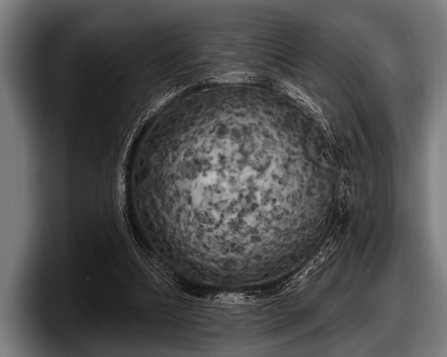 X0000097810298200803201423