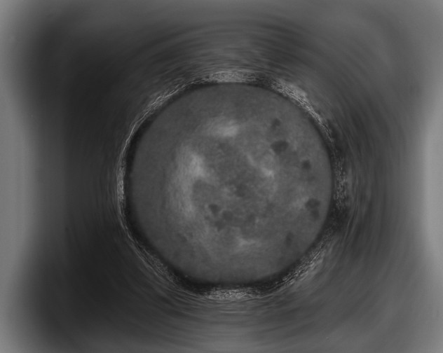 X0000097810299200803201423