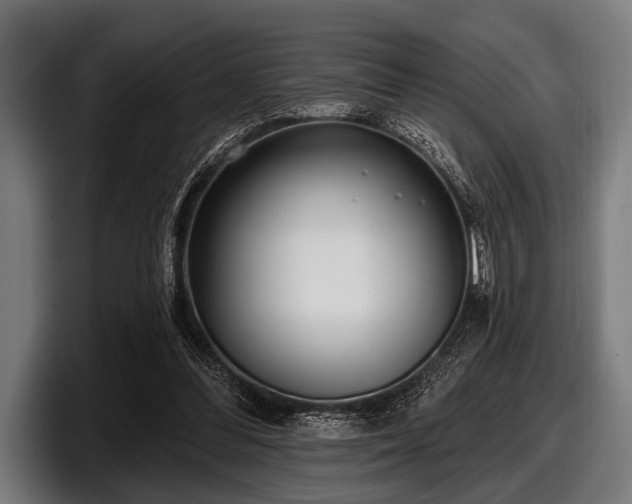 X0000097810300200803201423