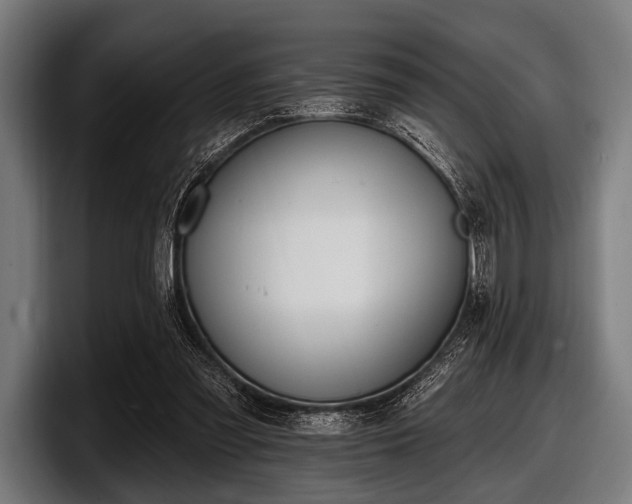 X0000097810301200803201423