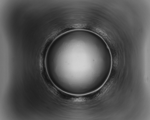 X0000097810303200803201423