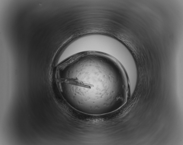 X0000097810304200803201423