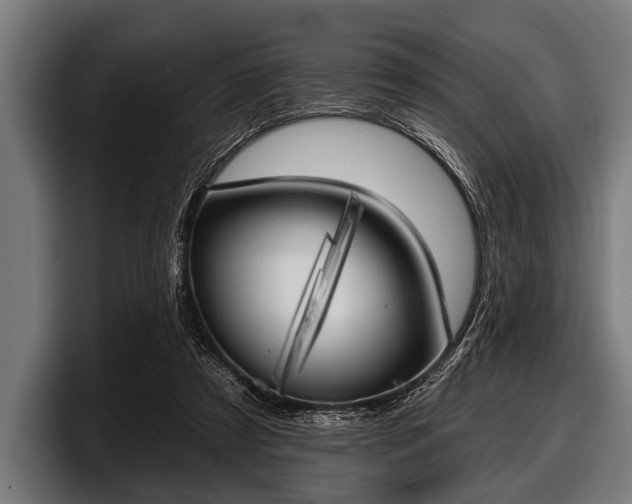 X0000097810305200803201423