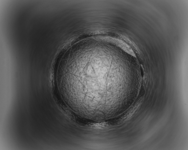 X0000097810306200803201423