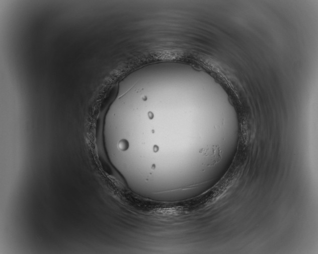 X0000097810307200803201423