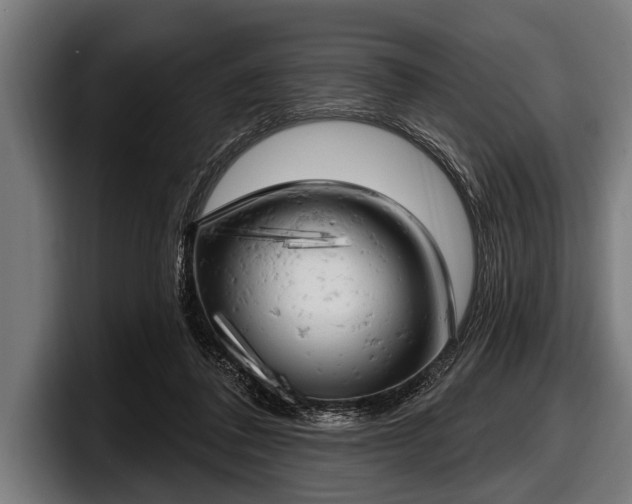 X0000097810308200803201423
