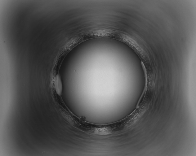 X0000097810309200803201423