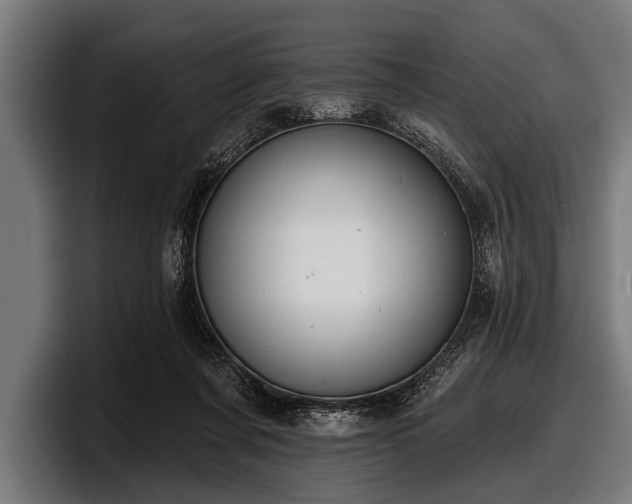 X0000097810311200803201423