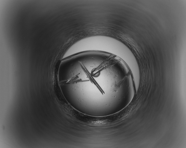 X0000097810312200803201423