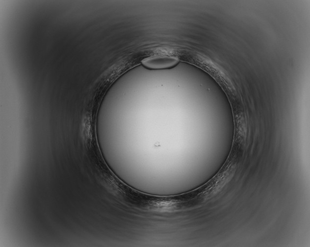 X0000097810313200803201423