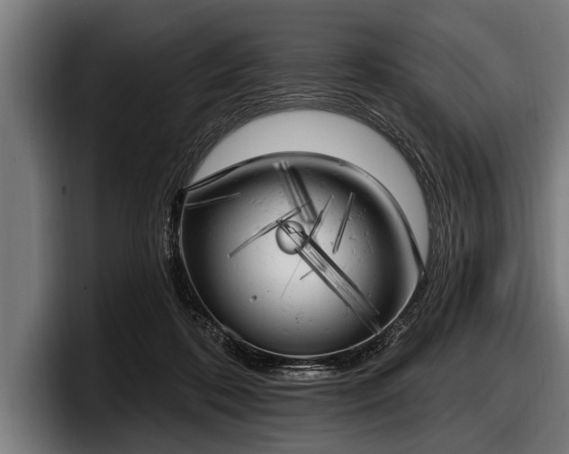 X0000097810316200803201423