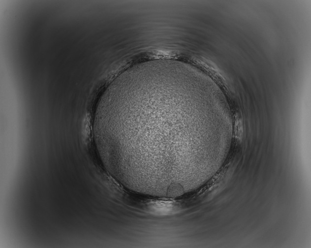 X0000097810318200803201423