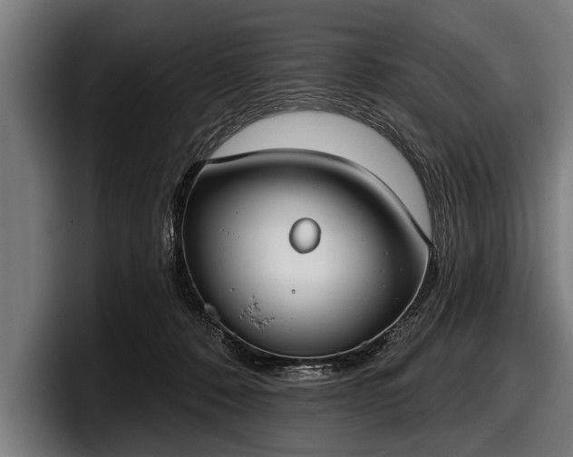 X0000097810320200803201422