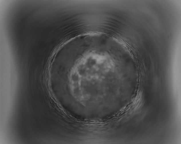 X0000097810337200803201422