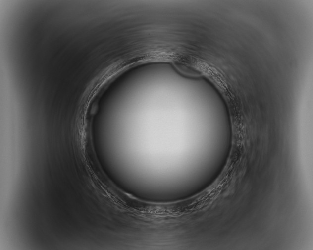 X0000097810338200803201422