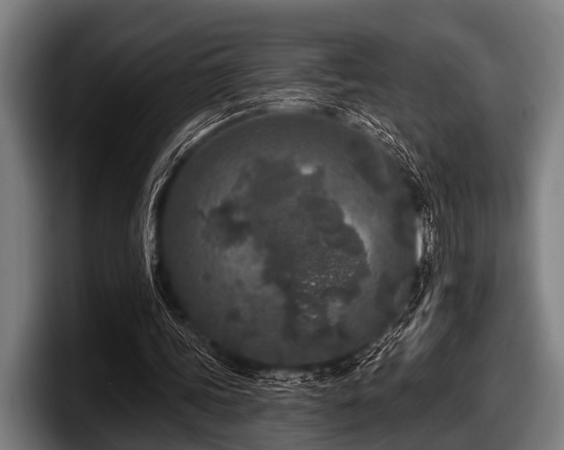 X0000097810339200803201422