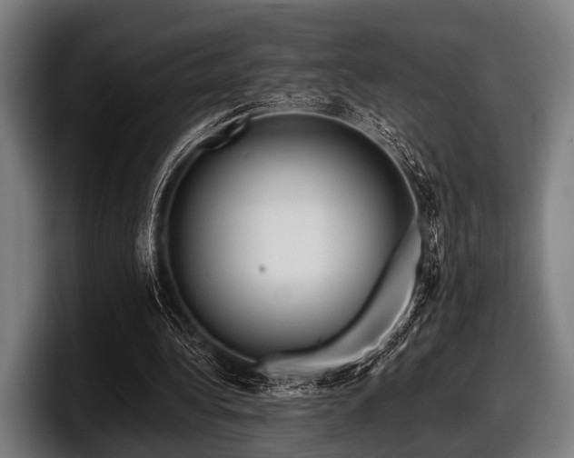 X0000097810340200803201422