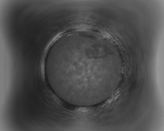 X0000097810341200803201422