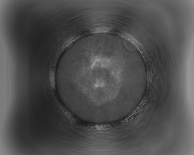 X0000097810345200803201422