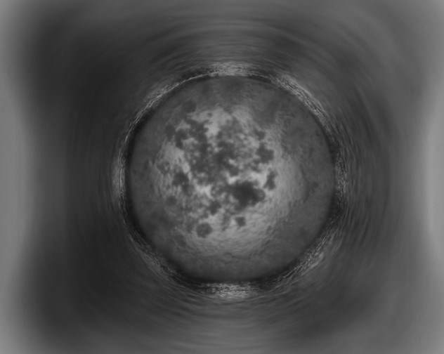 X0000097810347200803201422