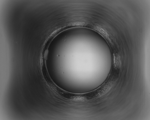 X0000097810348200803201422