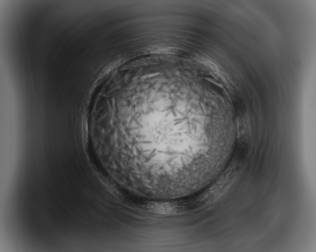 X0000097810349200803201422
