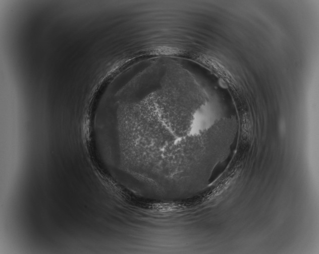 X0000097810351200803201422