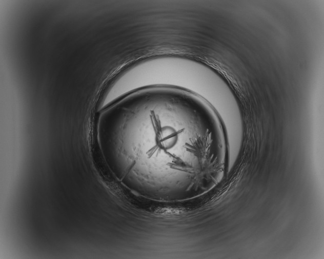X0000097810352200803201422