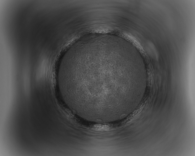 X0000097810354200803201422