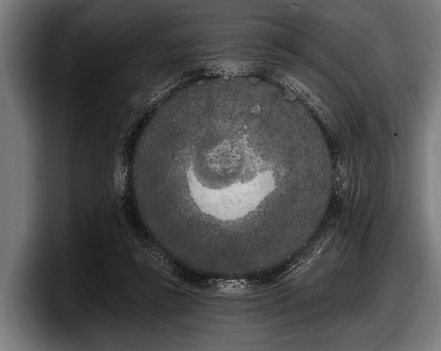 X0000097810355200803201422