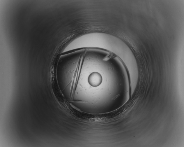 X0000097810356200803201422