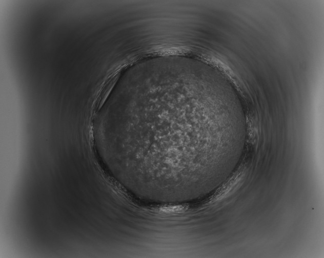 X0000097810357200803201422