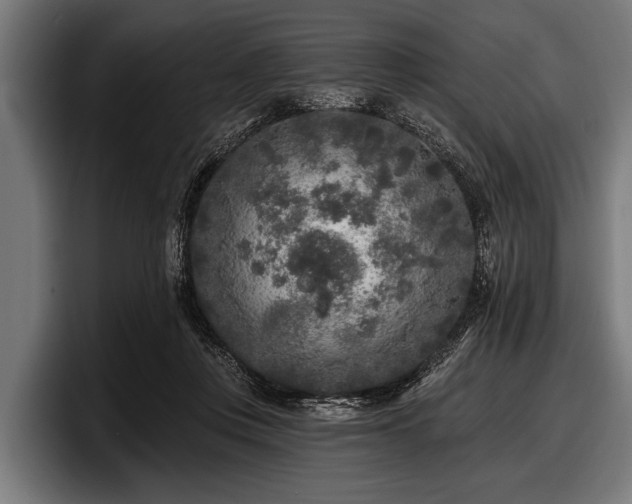 X0000097810359200803201422