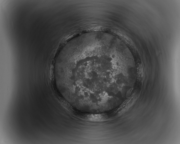 X0000097810361200803201422